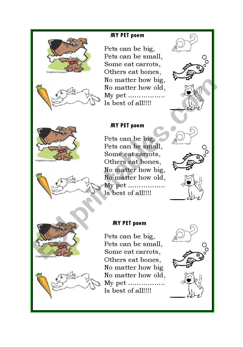 My Pet poem  worksheet