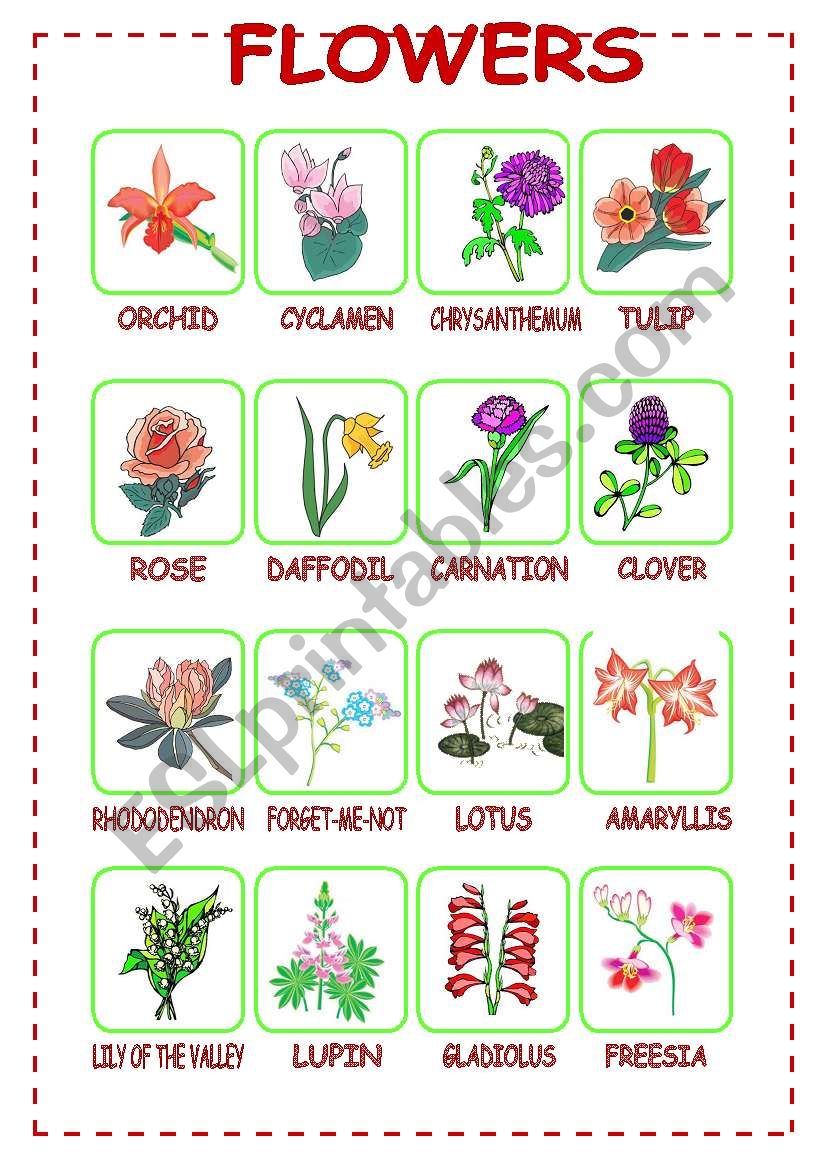 Flowers (2/3) worksheet