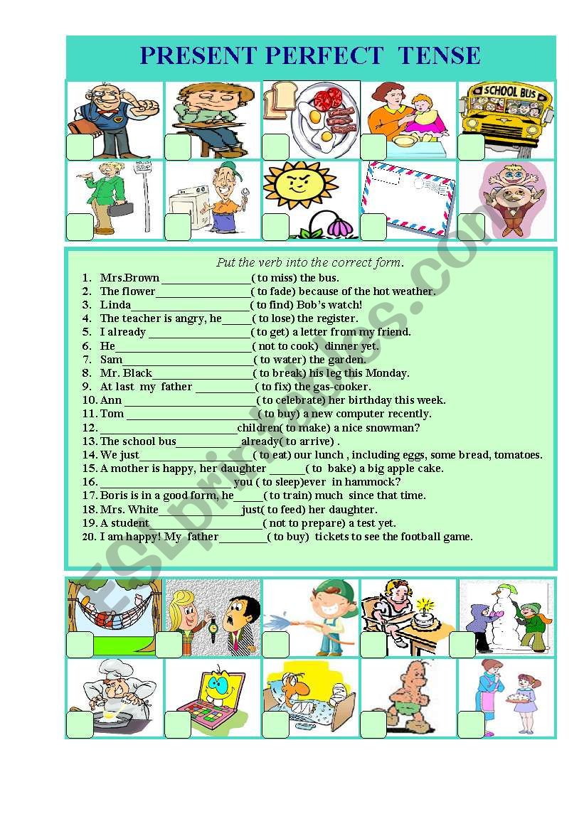 PRESENT PERFECT  worksheet