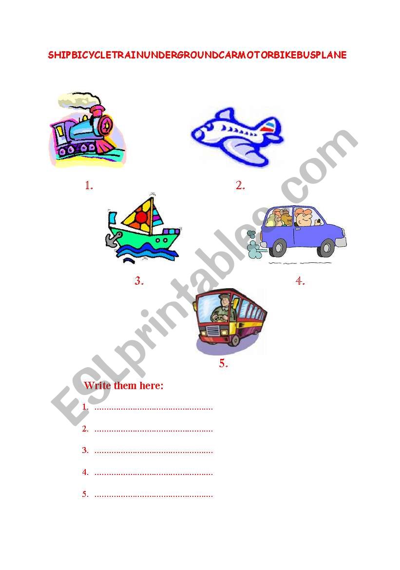 transportation worksheet worksheet