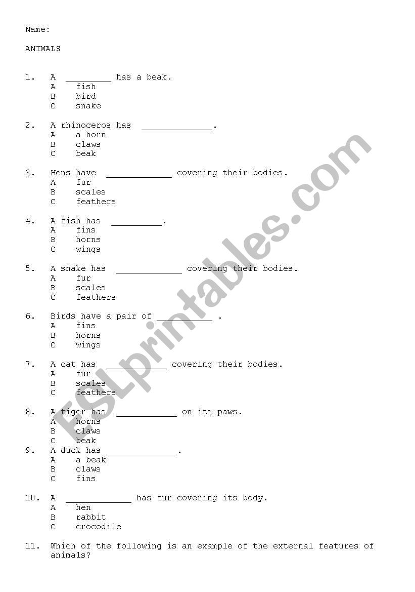 Animals External Features worksheet