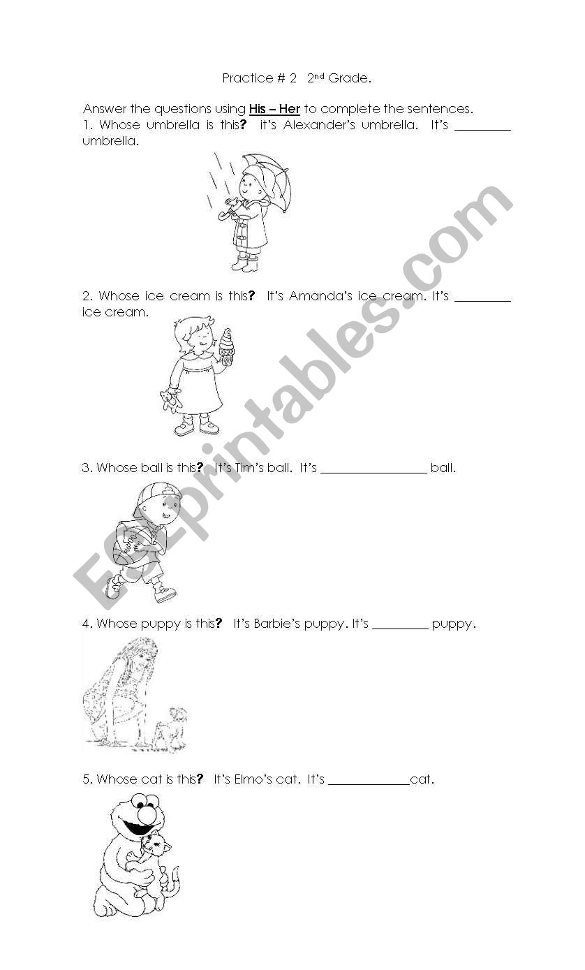 His / Her worksheet