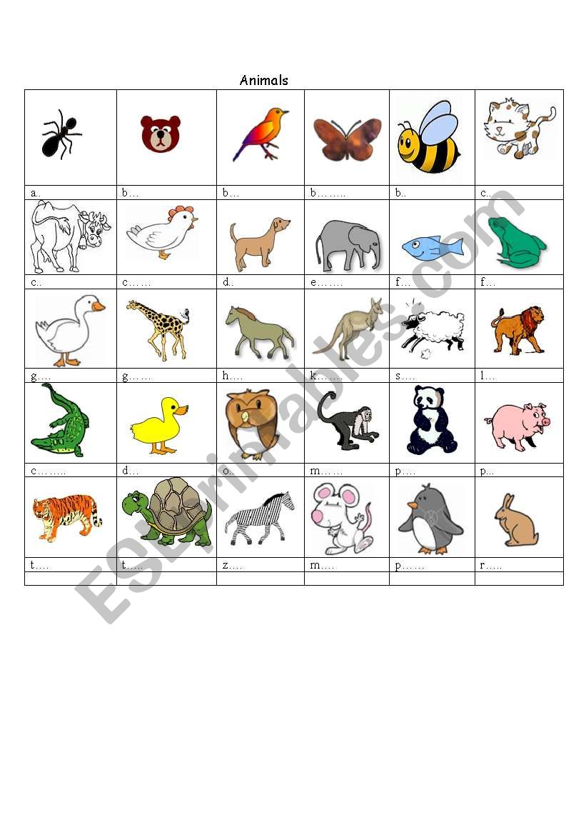 animals with pictures worksheet