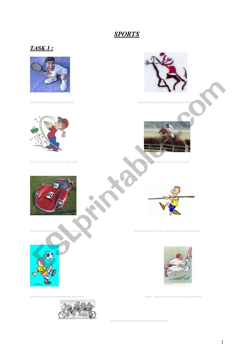 sports worksheet