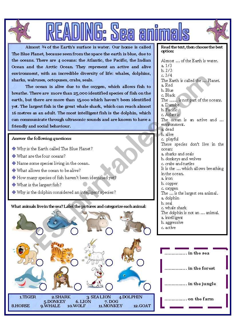 READING: SEA ANIMALS worksheet