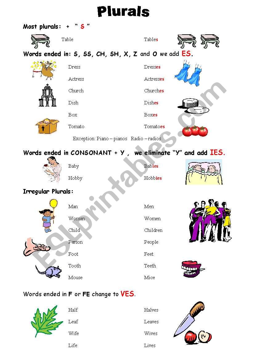 plural worksheet