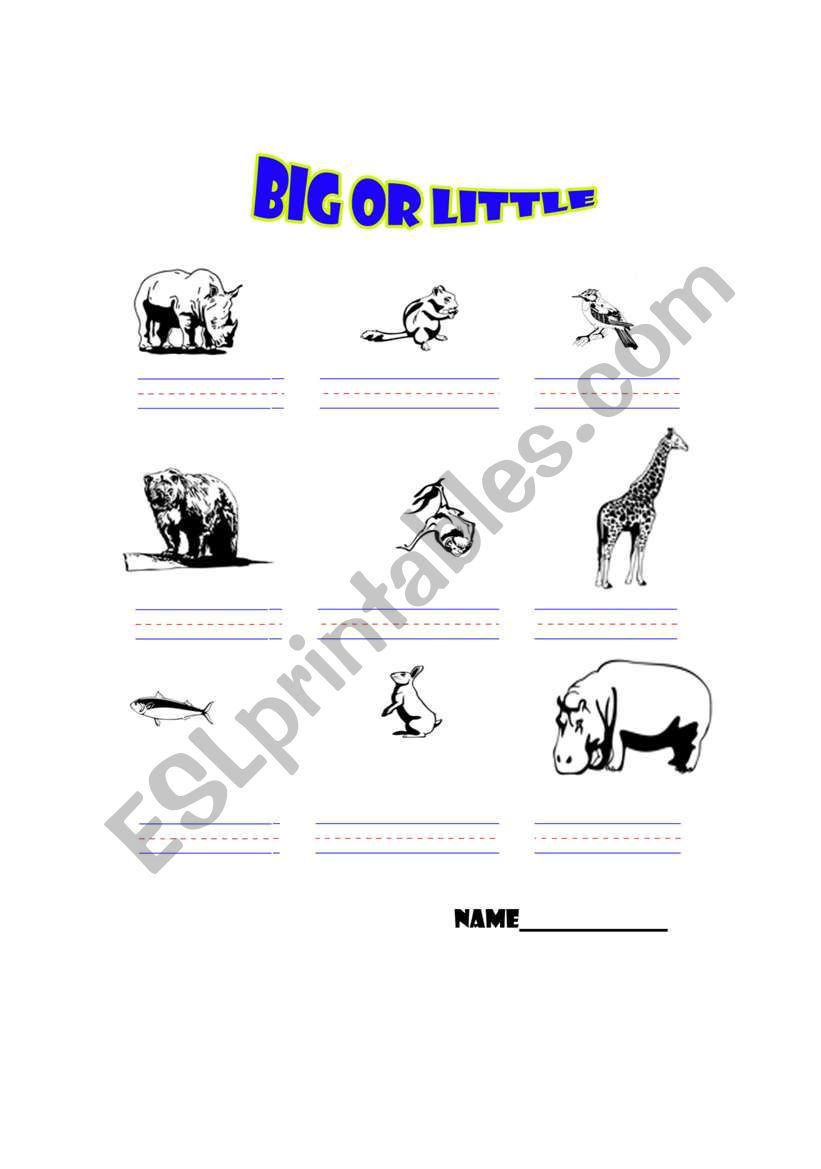 Big or Little worksheet