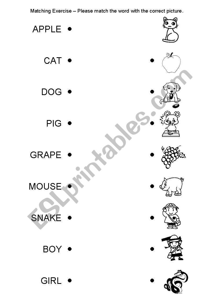 Matching Exercise worksheet