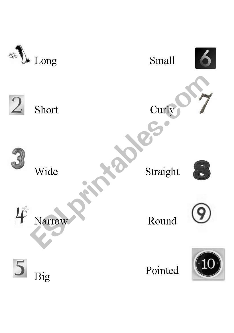 Physical Descriptions Lexicon Mini Flashcards