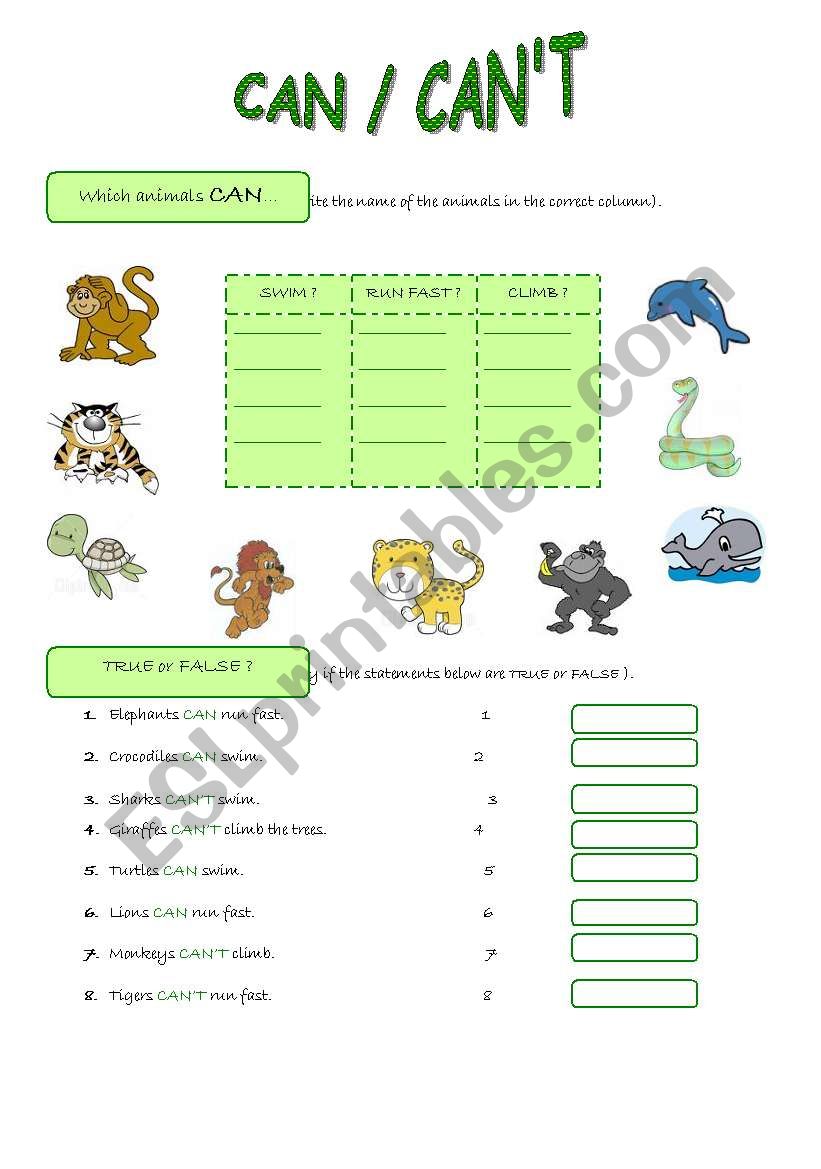 Can / Cant worksheet