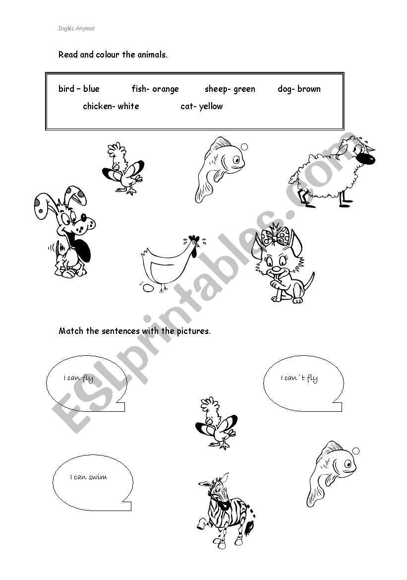 Animals worksheet