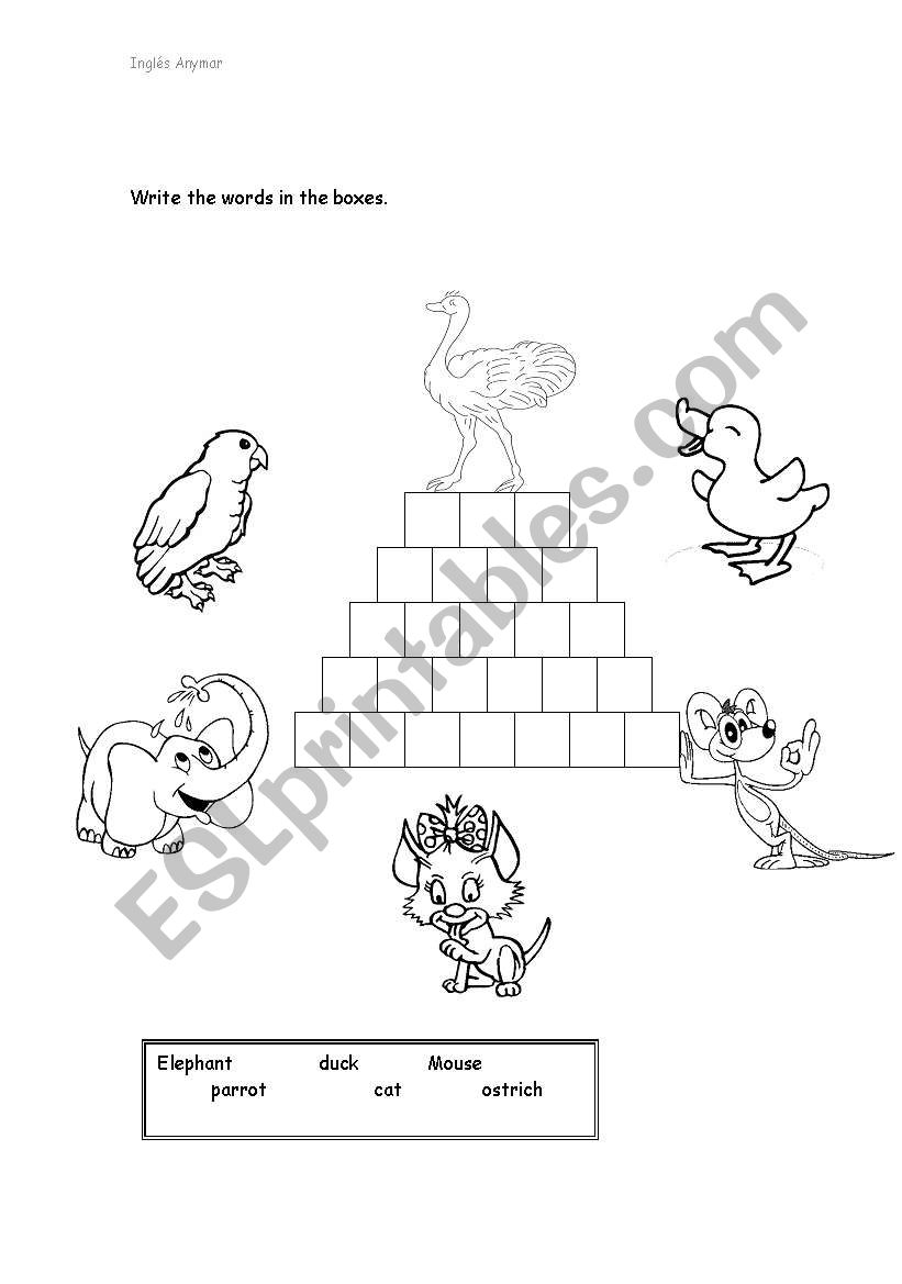 Animals worksheet