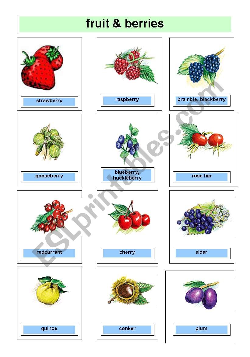 Flashcards berries worksheet