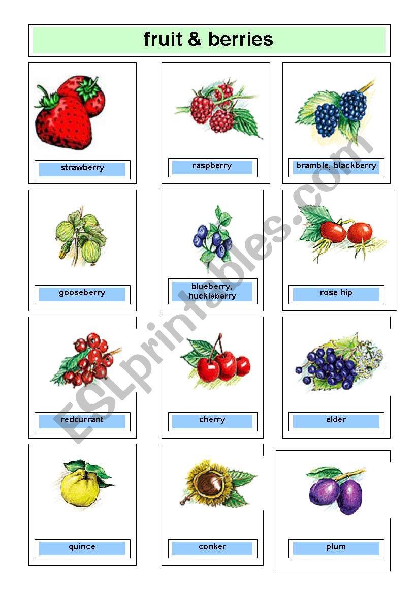 Flashcards berries worksheet