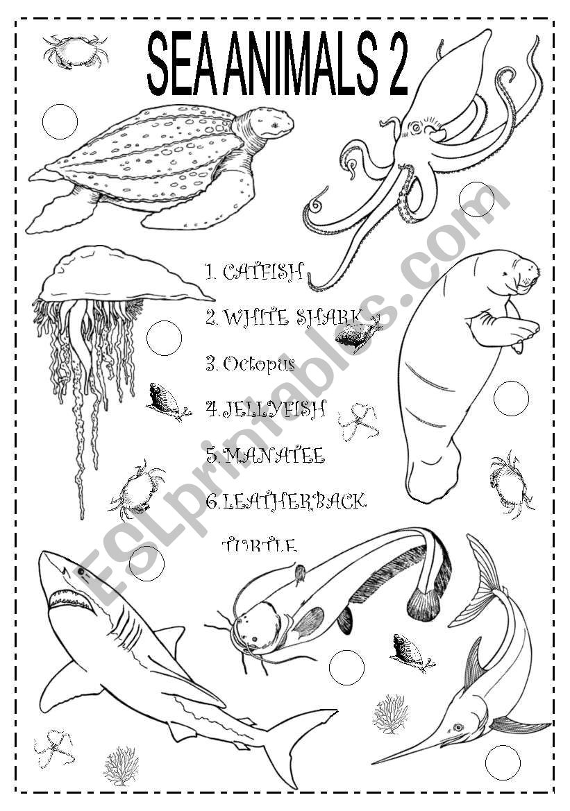 SEA ANIMALS 2 worksheet