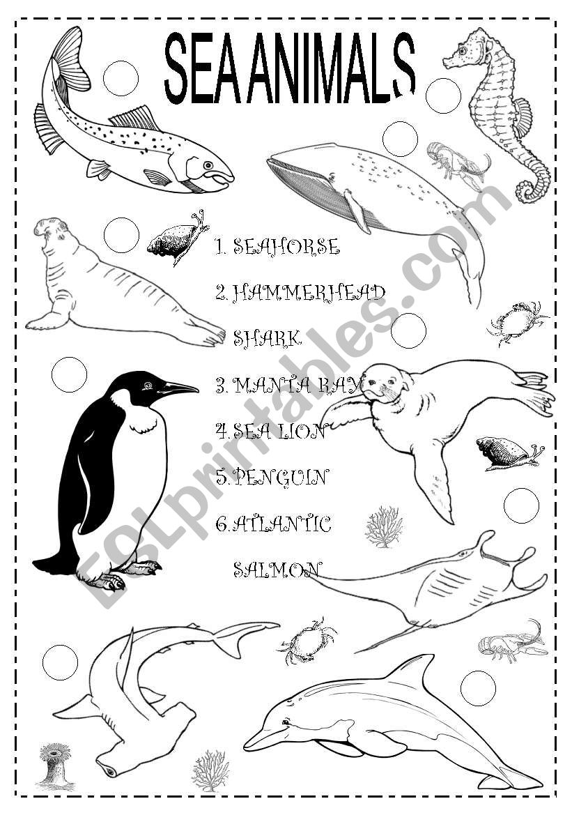 SEA ANIMALS - ESL worksheet by ironda