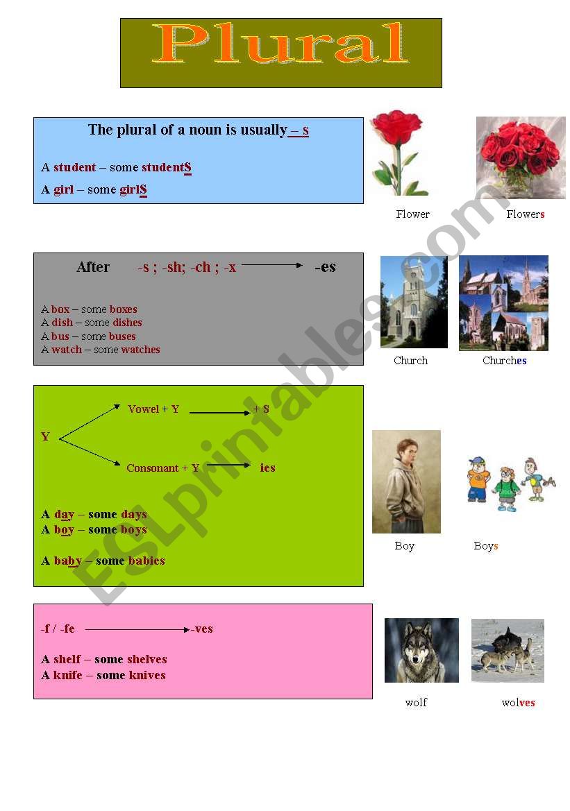 Plural of nouns worksheet