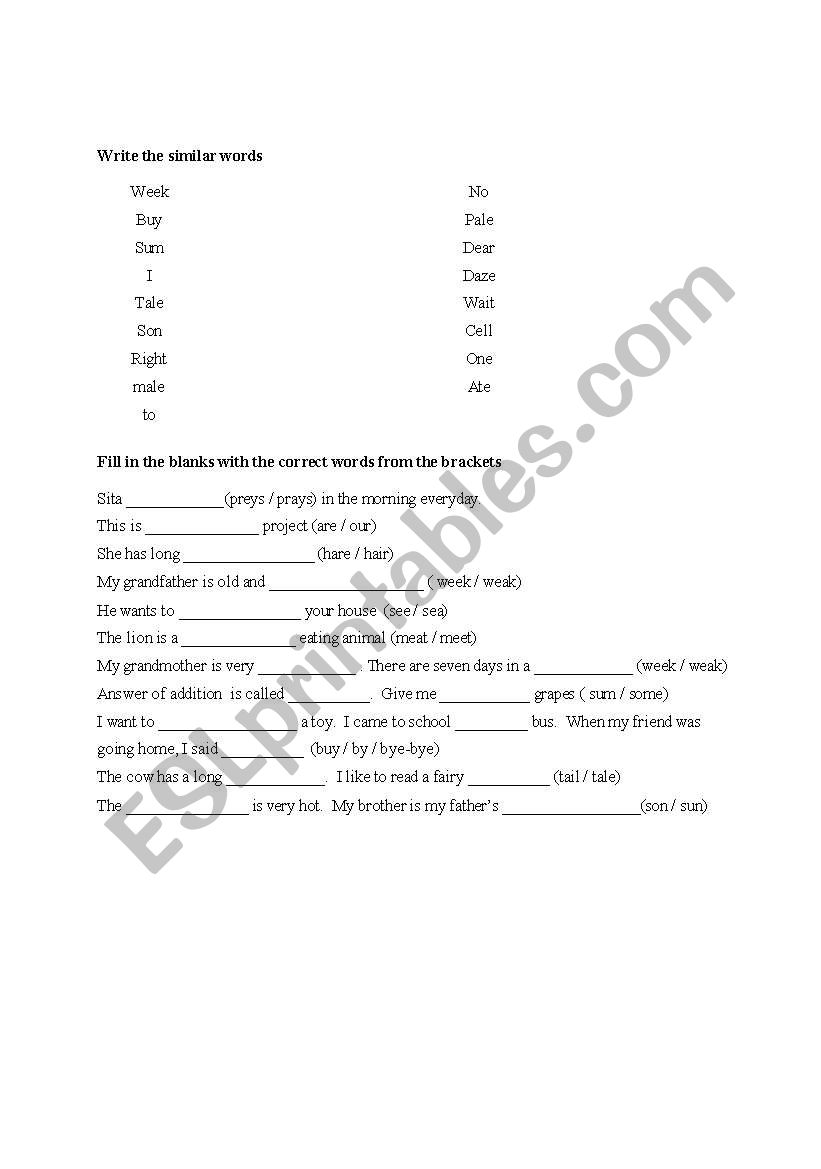 HOMONYMS worksheet