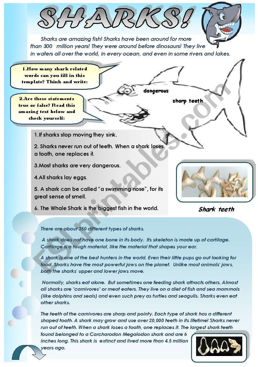 SHARKS! - AMAZING READING AND VOCABULARY SET (3 pages + answer keys)