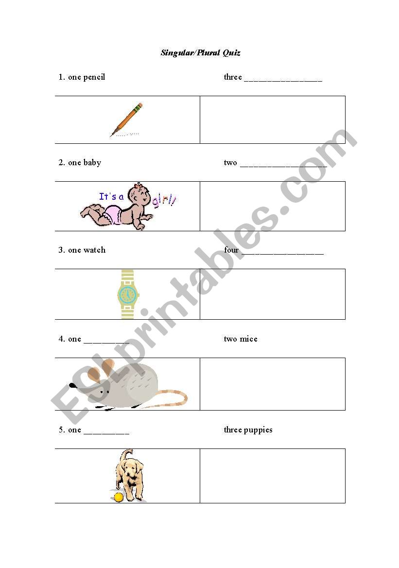 Singular Plural Quiz worksheet