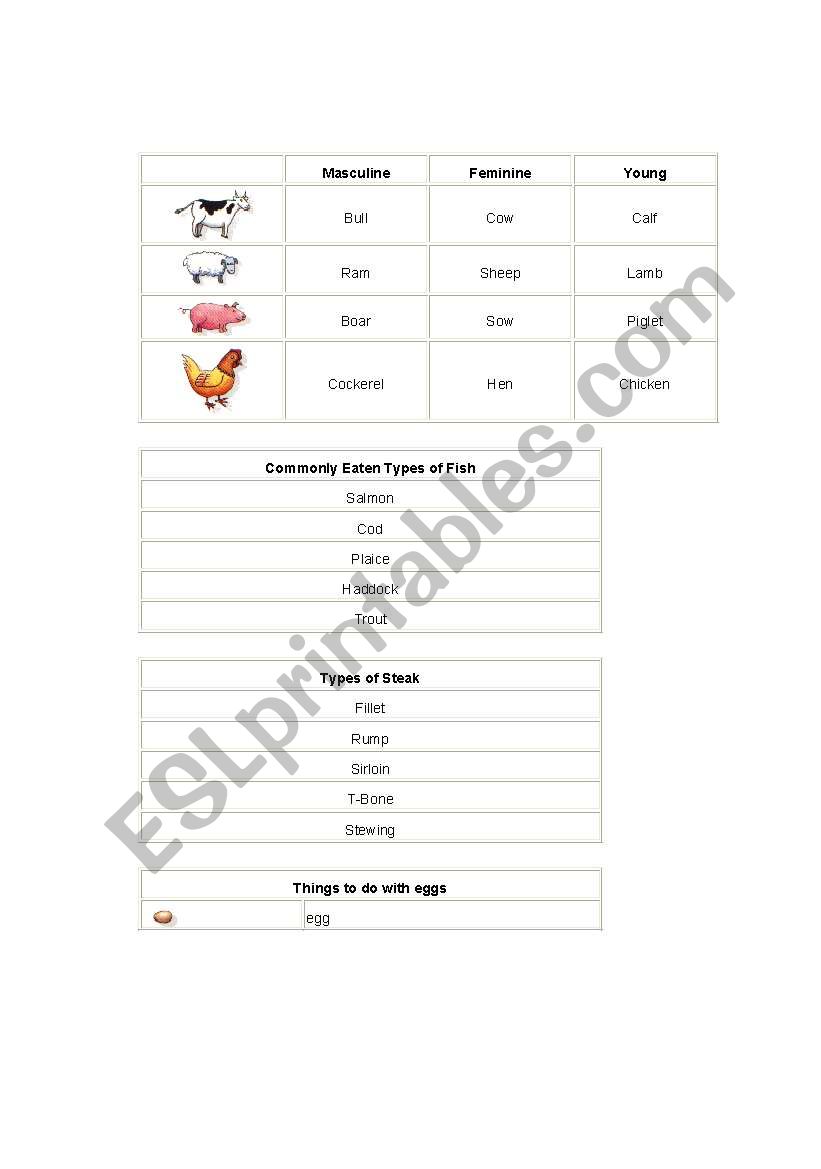 Food worksheet