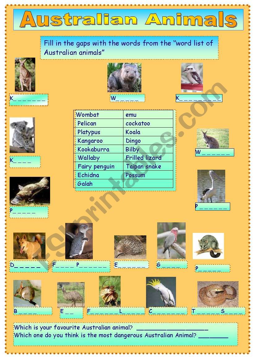 Australian Animals worksheet