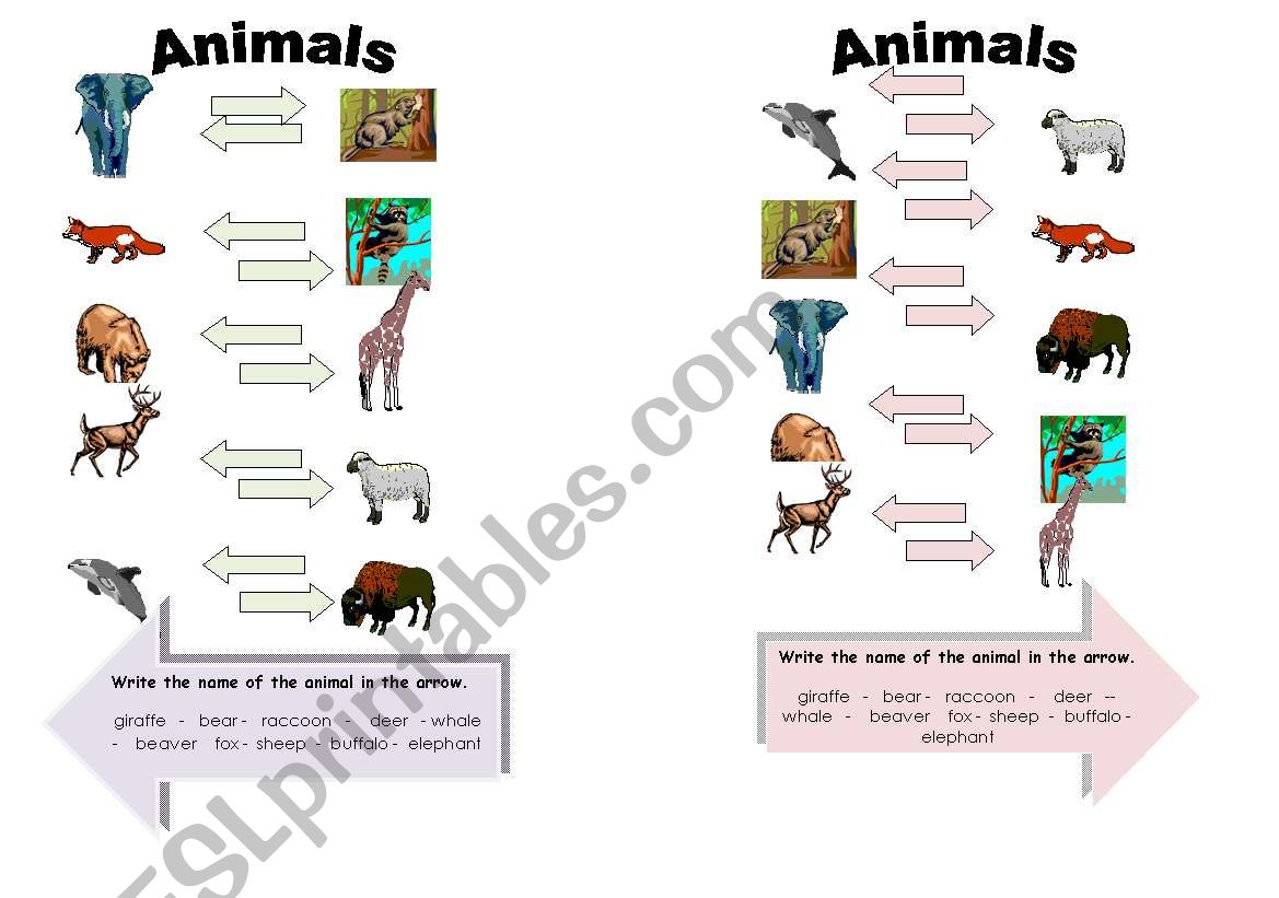Mini Quiz - Animals worksheet