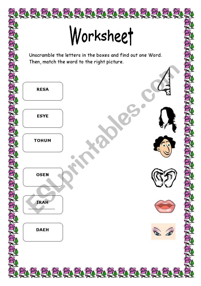 parts of the face worksheet