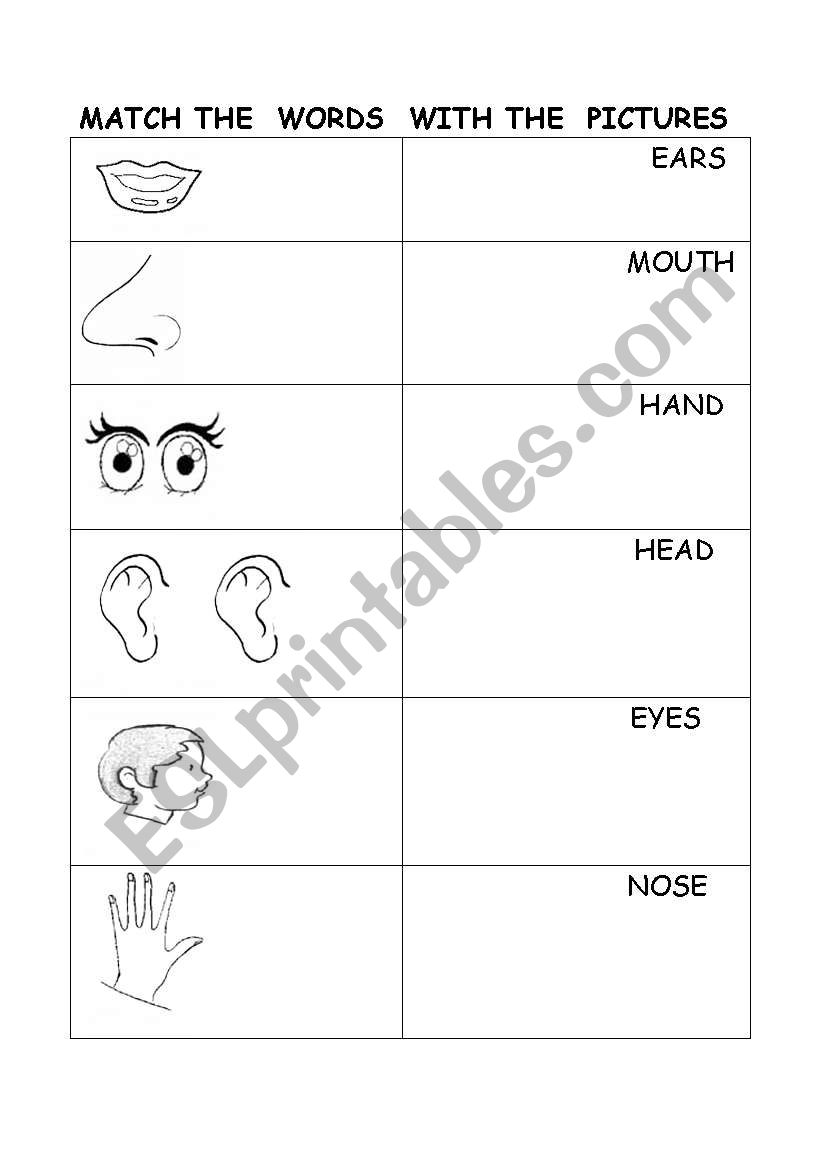 five senses worksheet