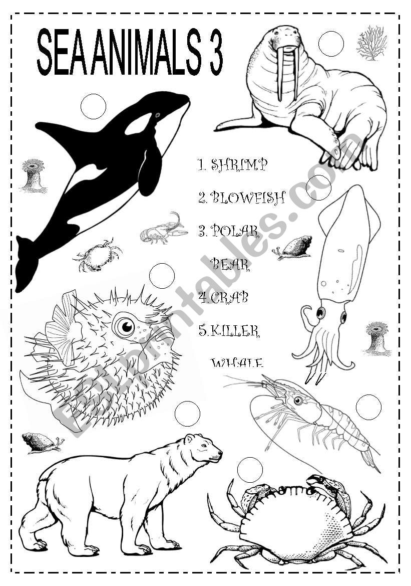 SEA ANIMALS 3 worksheet