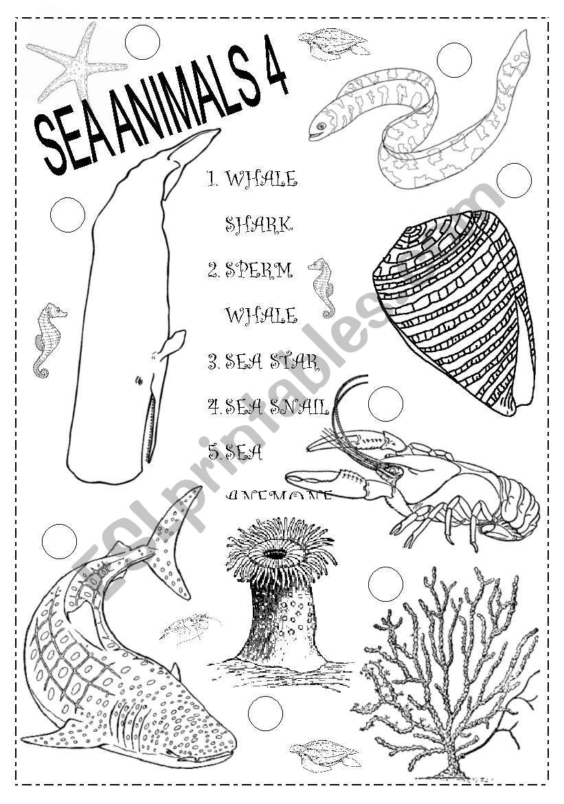SEA ANIMALS 4 worksheet