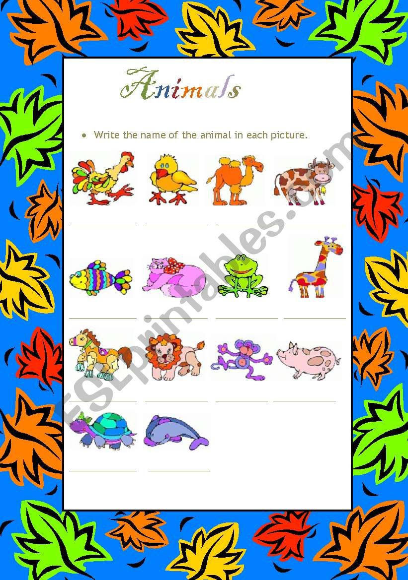 animals worksheet