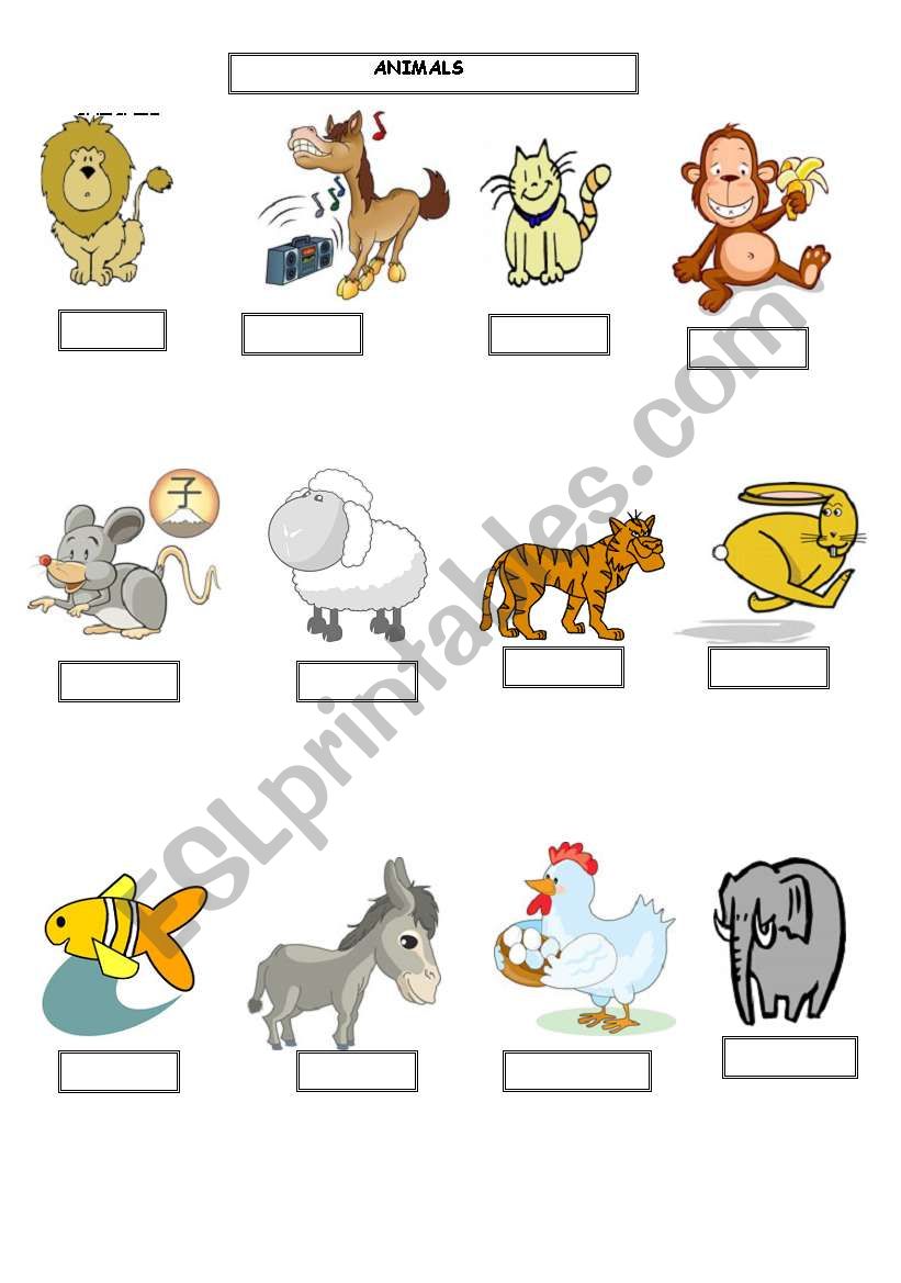 animals worksheet