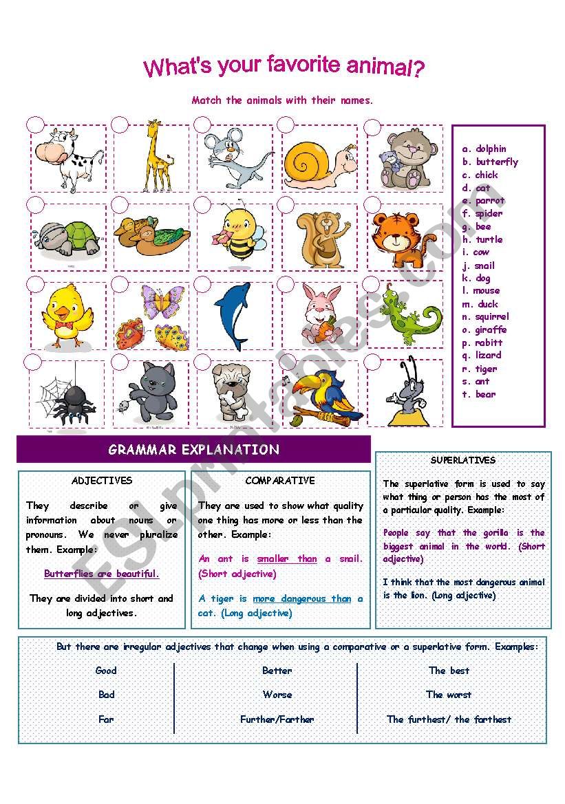 ANIMALS/ADJECTIVES/COMPARATIVES/SUPERLATIVES