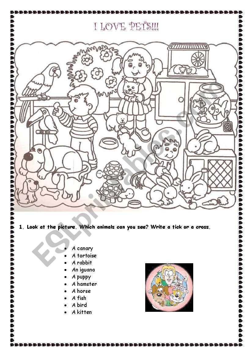 I LOVE PETS!! worksheet