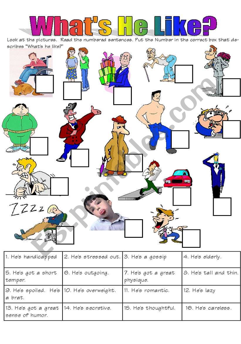 WhatÂ´s He Like-    The exercise Sheet
