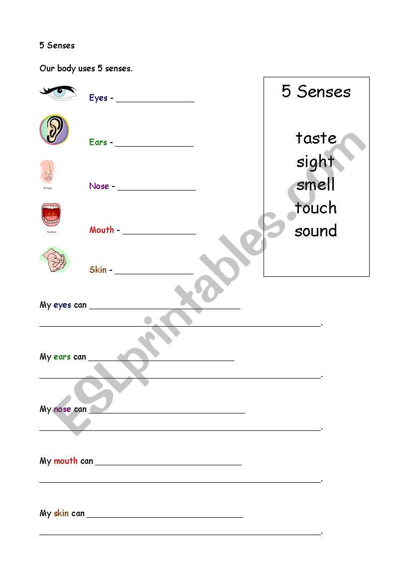 5 Senses Activity Sheet worksheet