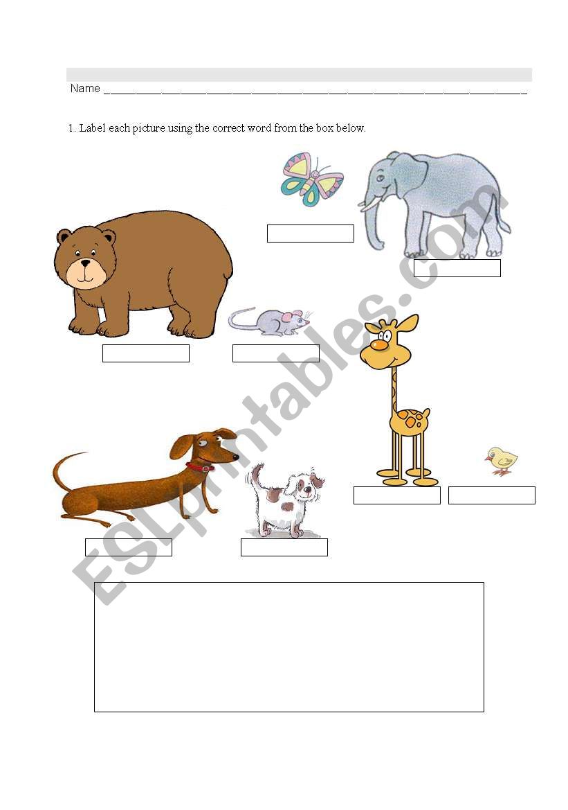 Opposites worksheet