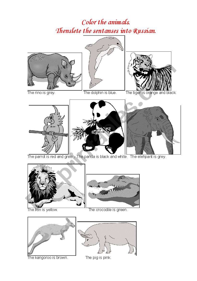 color the animals worksheet