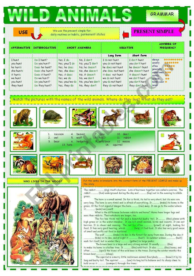 WILD ANIMALS OR WHO LIVES IN THE WOOD - ESL worksheet by Aliona R