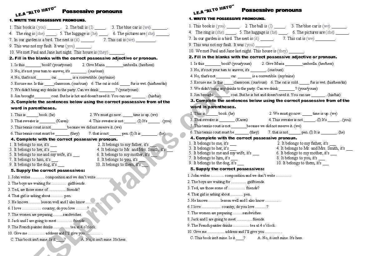 possessive pronoun worksheet