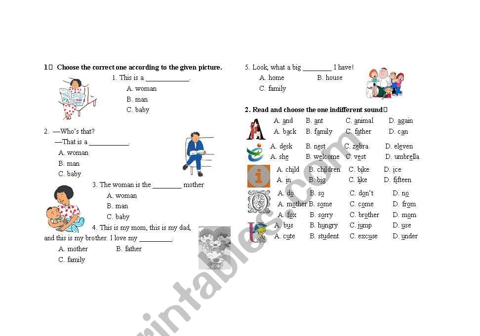 Exercises worksheet
