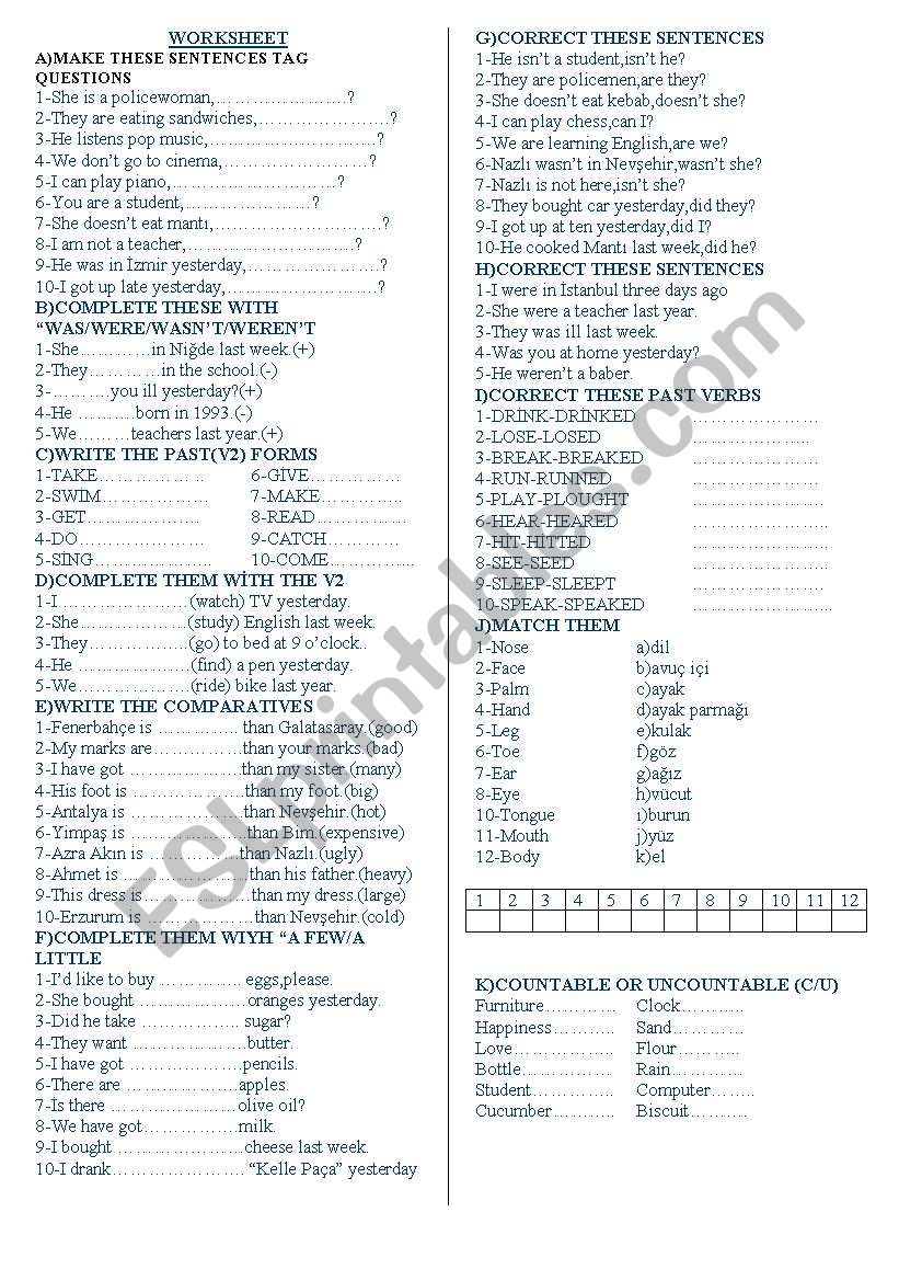 worksheet for elementary students