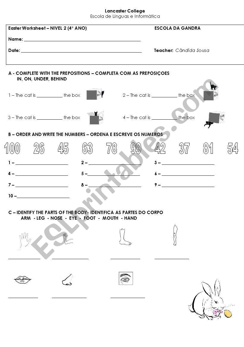 test worksheet