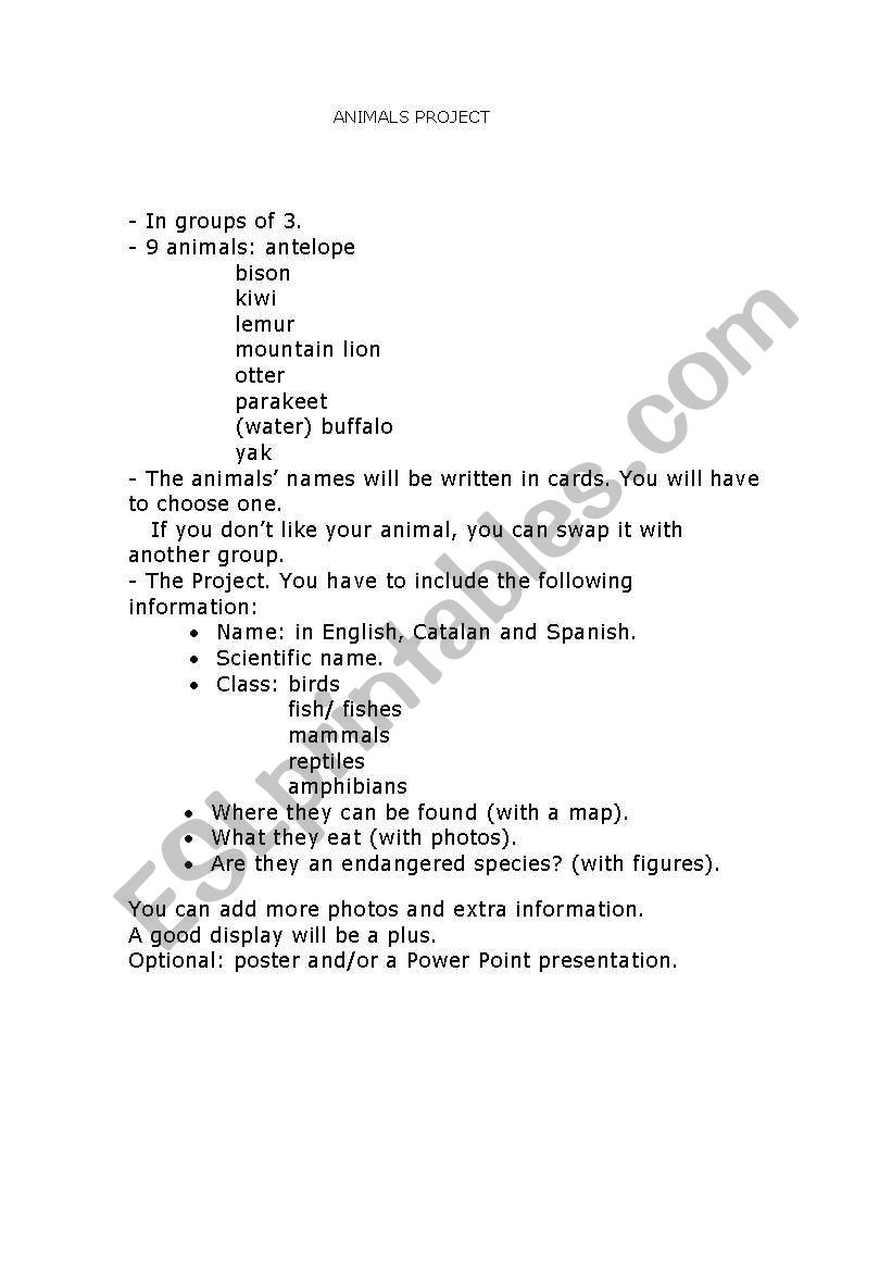 Animals Project worksheet