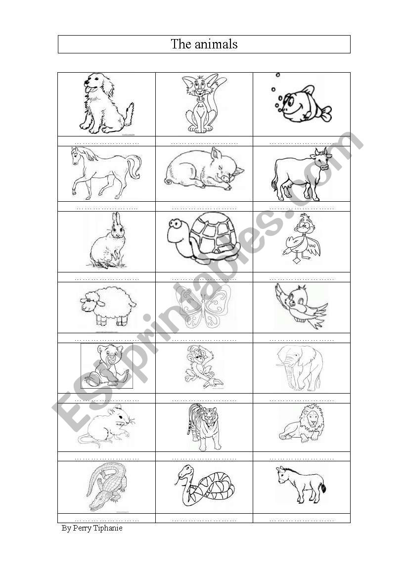 the animals worksheet