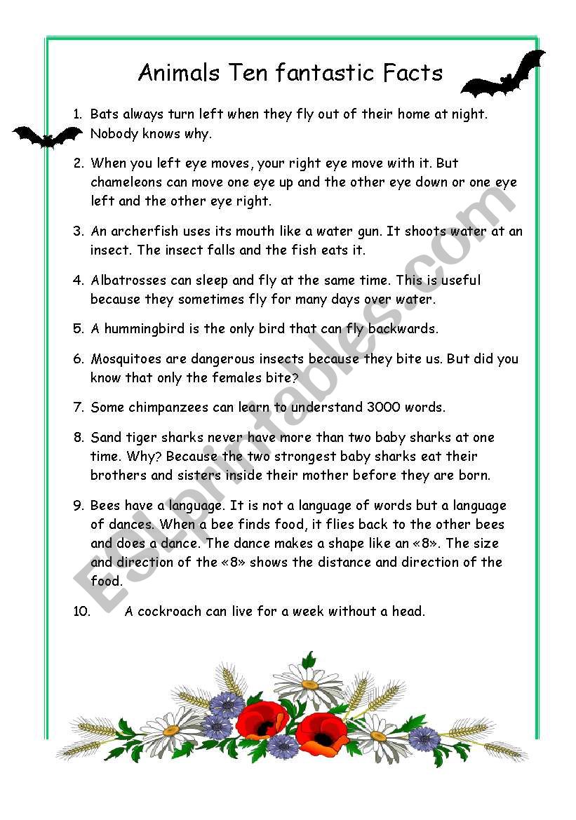 Animals ten fantastic facts worksheet