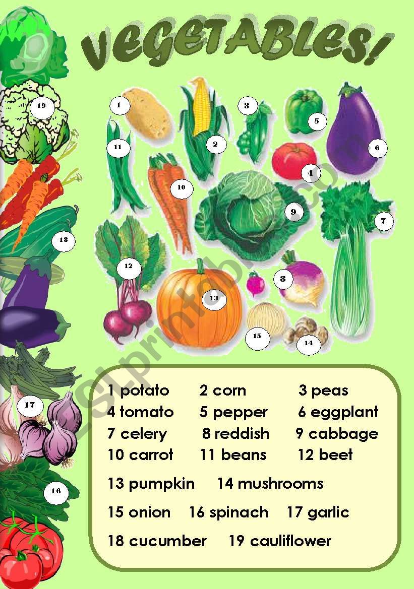 VEGETABLES! _ PICTIONARY OR CLASSROOM POSTER