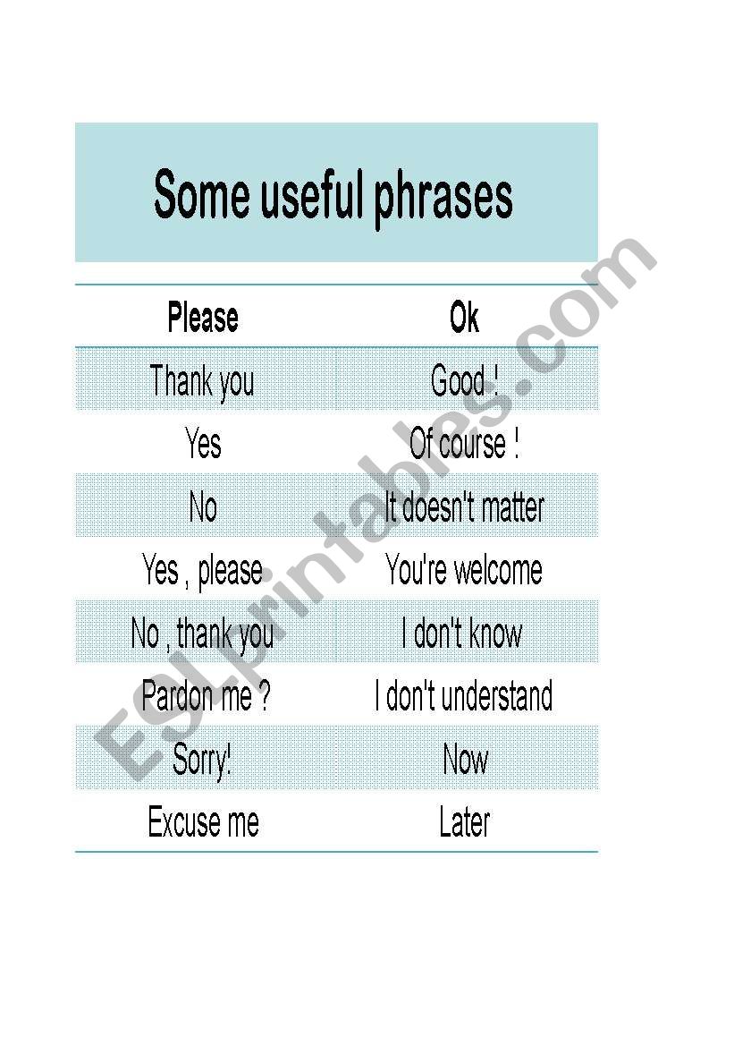 Some useful phrases worksheet