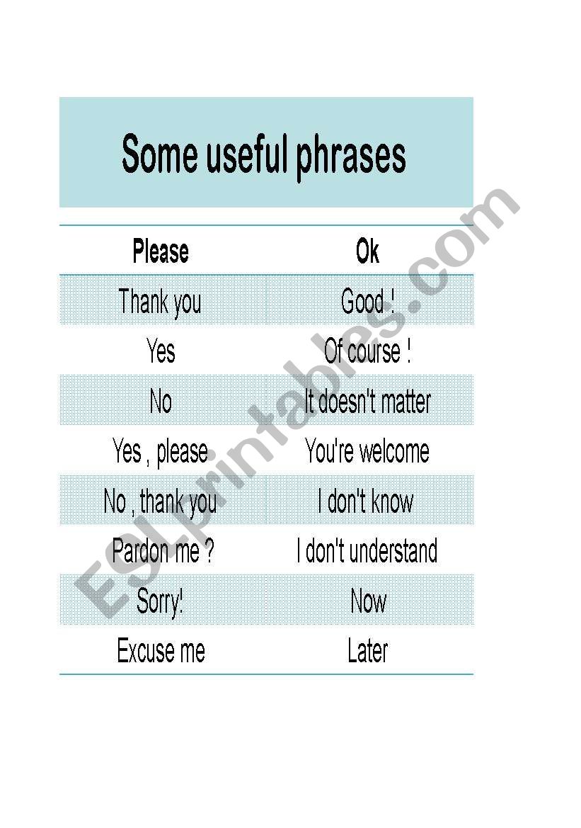 Some useful phrases worksheet